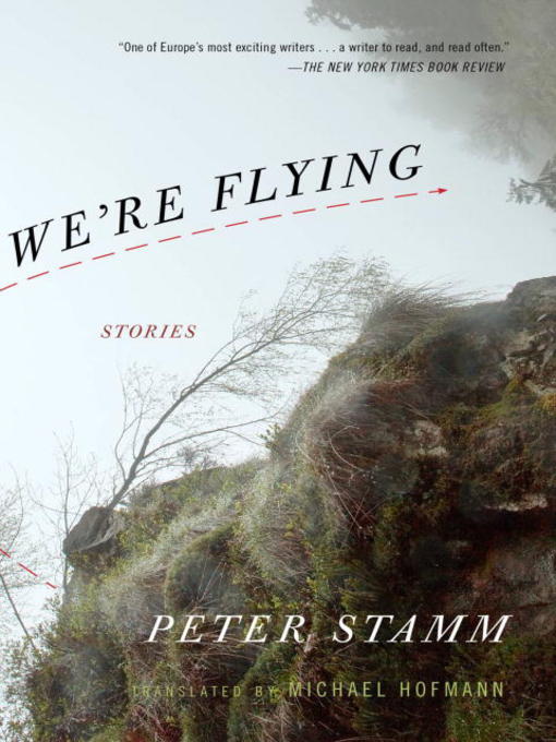 Title details for We're Flying by Peter Stamm - Available